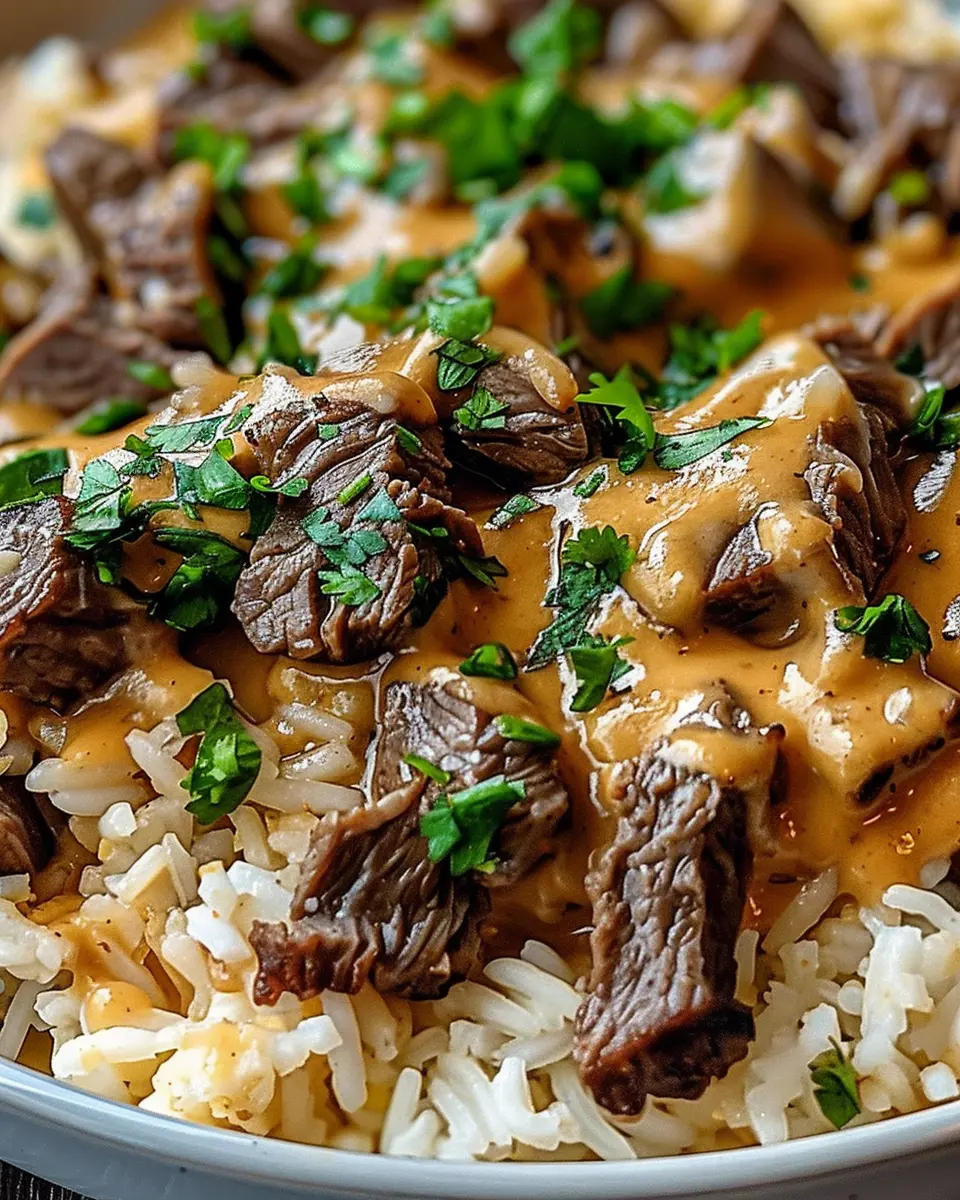 Steak Queso Rice: Indulge in this Easy Weeknight Delight
